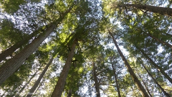 82BB30A0-10B9-4E06-B630-22BE2E2F5752