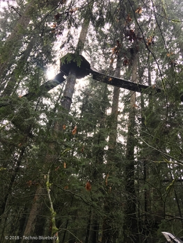 BD7122E2-425A-4093-955C-B9E2576F71AB