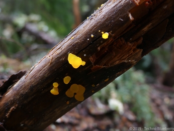 E5FC32ED-7005-41F7-A3C9-69A9EC06AA65