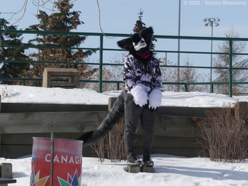 IMG_2492(Watermarked)