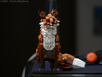 P1070354(Watermarked)